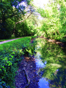 The C&O Canal serves as a scenic backdrop for hikes.